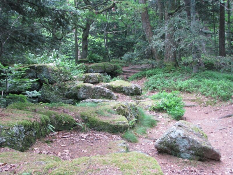 Celtic Reiki 1. Grad Celtic Reiki 1. Grad