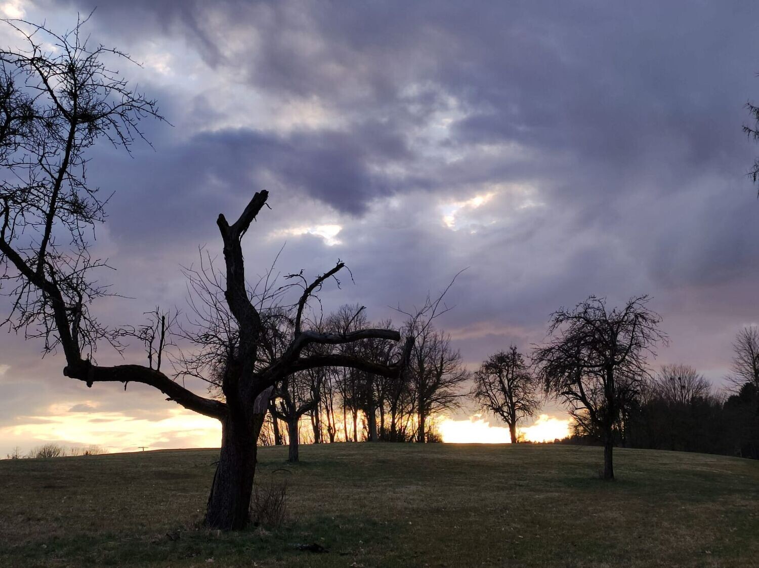 Celtic Reiki 2. Grad Celtic Reiki 2. Grad