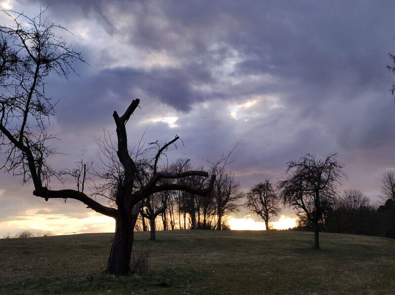 Celtic Reiki 2. Grad Celtic Reiki 2. Grad