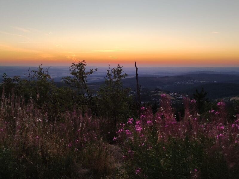 Celtic Reiki 3. Grad Celtic Reiki 3. Grad