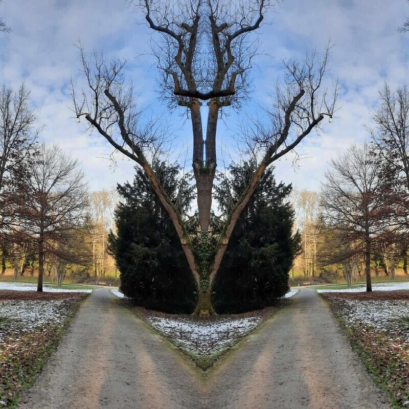 Universal Abundance 1 - 5 - Universelle Fuelle Universal Abundance 1 - 5 - Universelle Fuelle