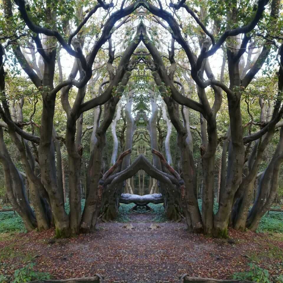 Constellation Harmonizer Aufstellungs-Harmonisierer