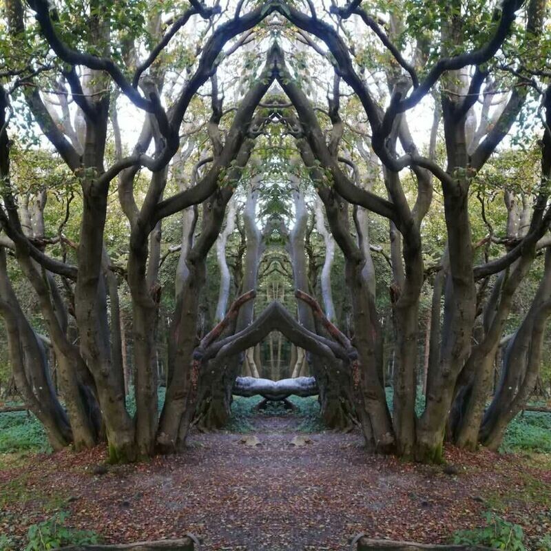 Constellation Harmonizer Aufstellungs-Harmonisierer Constellation Harmonizer Aufstellungs-Harmonisierer