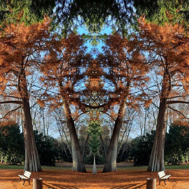 Abundance Grid - Gitternetz der Fuelle Abundance Grid - Gitternetz der Fuelle