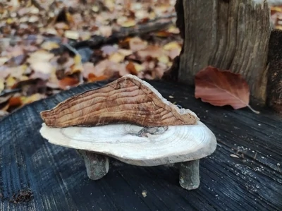 Mini Bank aus Holz. Wichteltür Zubehör. Miniatur Möbel. Miniaturen 1zu12. Puppenhaus. Dekoartikel