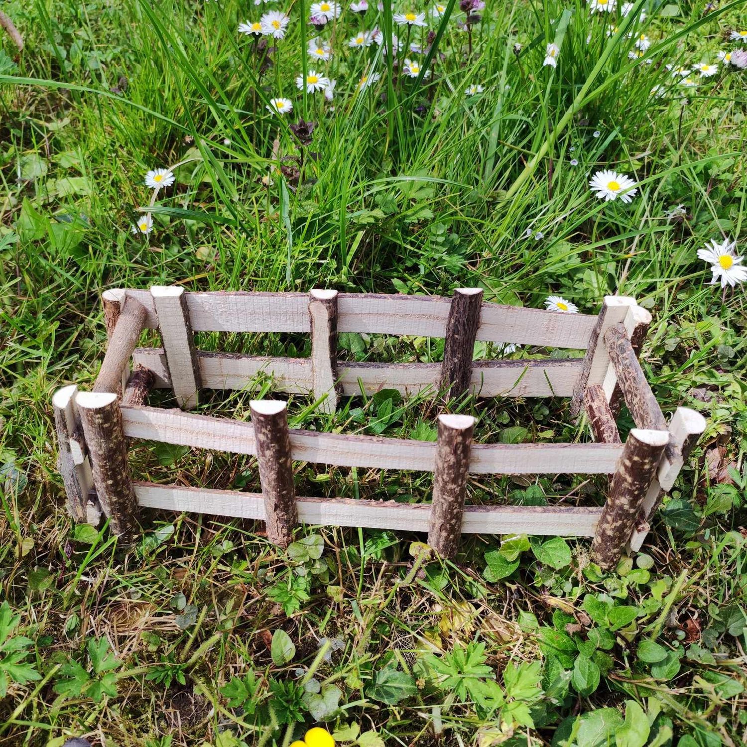 Zaun natur