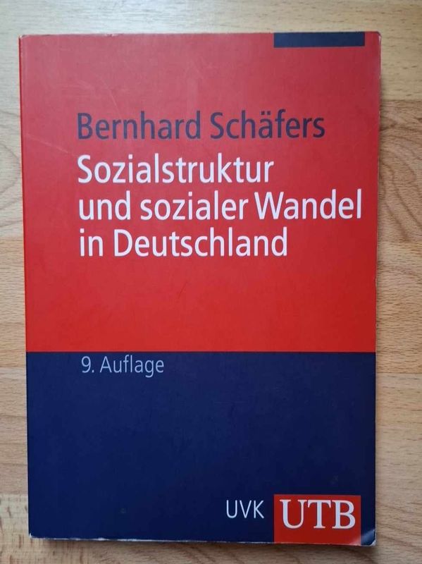 Bernhard Schäfers - Sozialstruktur und sozialer Wandel in Deutschland (antiquarisch)