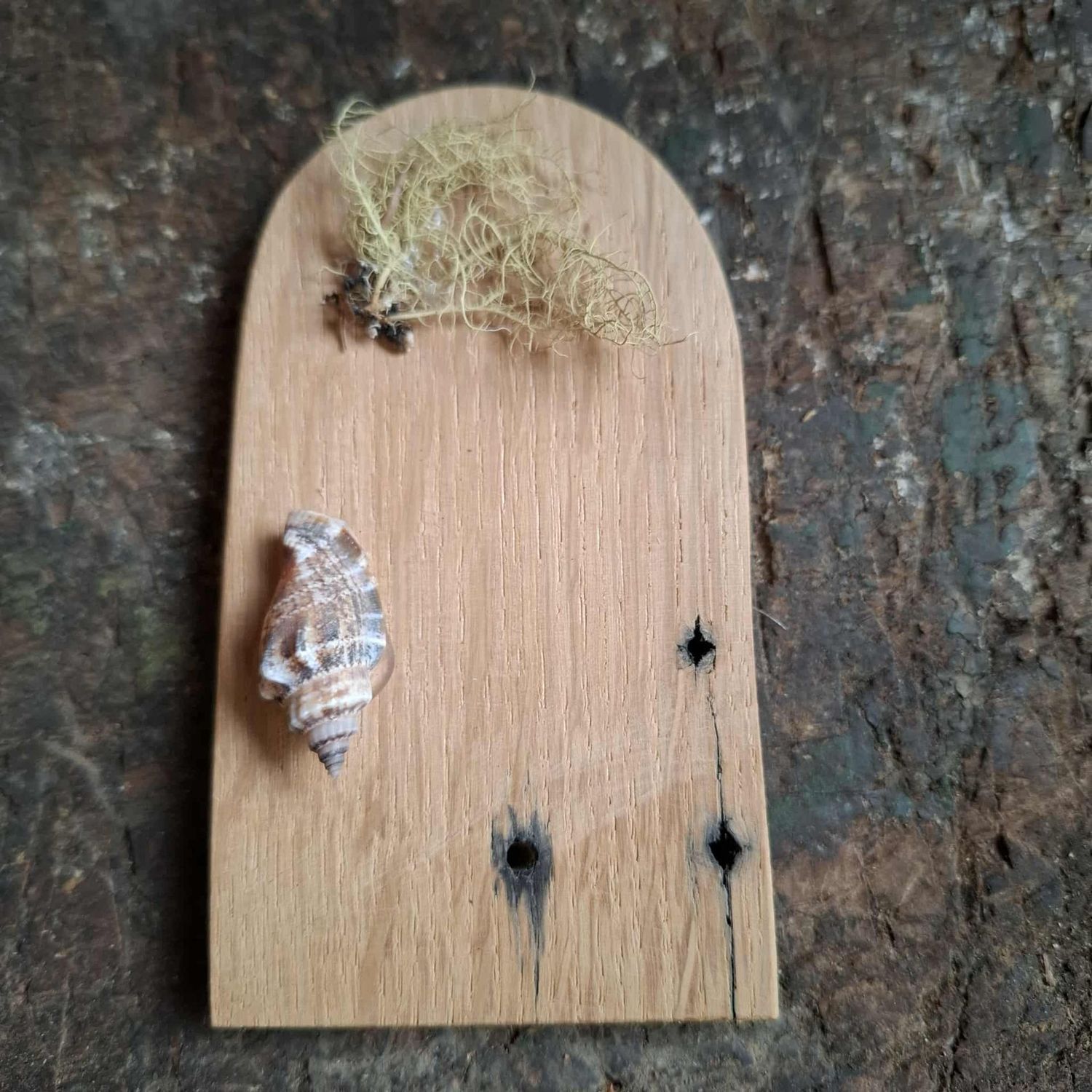 Magische Wichteltuer mit Muschel
