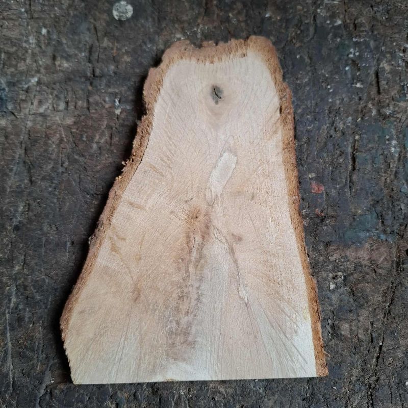 Wichteltüer aus Eichenholz