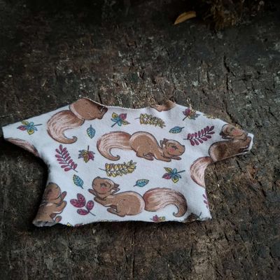 Eichhoernchen T-Shirt fuer 23 cm Philomena Kloss Baeren Eichhoernchen T-Shirt fuer 23 cm Philomena Kloss Baeren