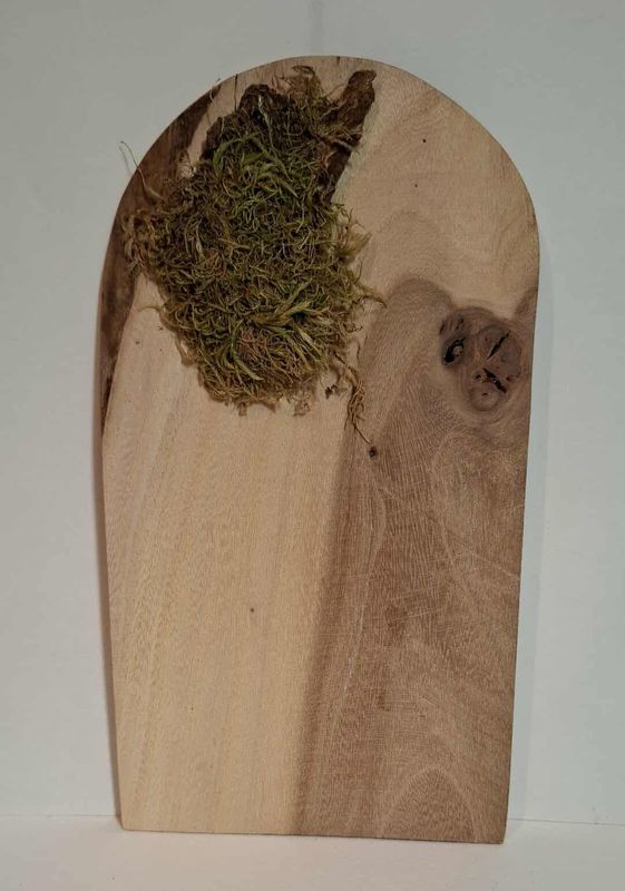 Wichteltür mit Moos