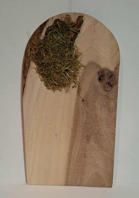 Wichteltür mit Moos