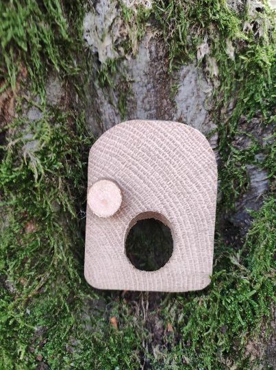 Miniatur Wichteltür aus altem Buchenholz mit Haselnussholzgriff, dekoriert an moosbewachsenem Baum im Wald.