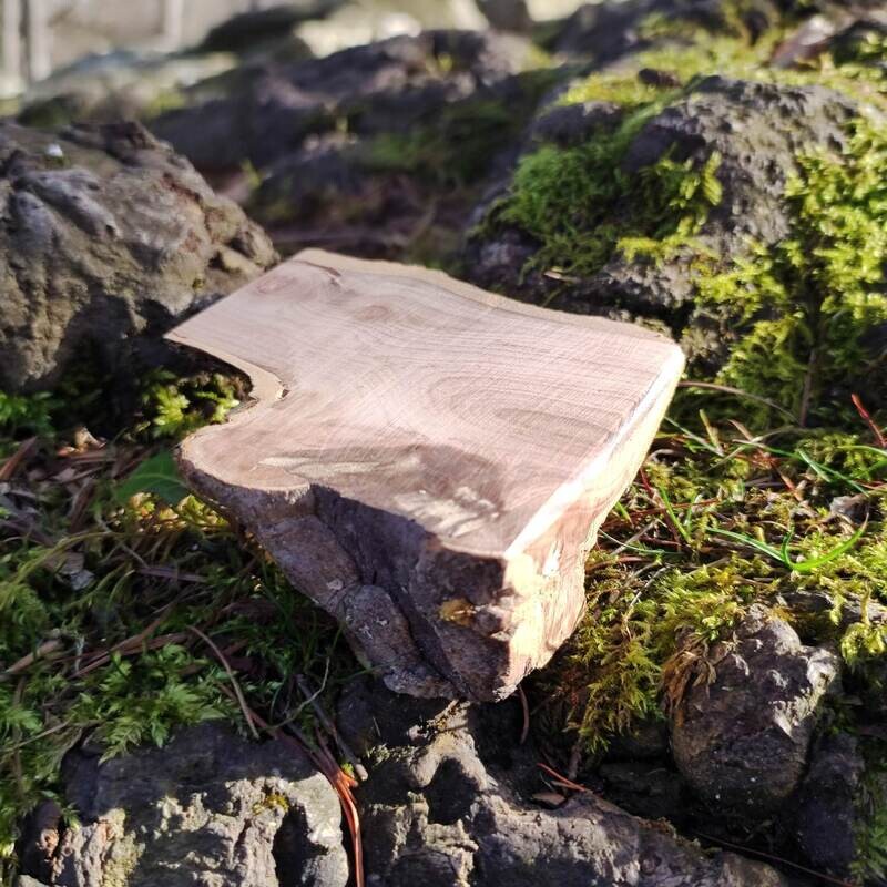 Miniatur Holztisch aus Apfelholz für die Wichteltür Miniatur Holztisch auf bemooster Baumwurzel