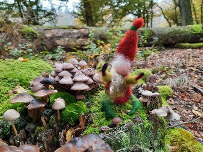 Gefilztes Naturwesen Einar Gefilztes Naturwesen im Wald mit bemoostem Baumstamm und Pilzen