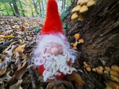 Gefilzter Weihnachtswichtel Kuno Gefilzter Weihnachtswichtel mit rotem Körper, rotem Hut und weißen Haaren und Bart vor Baum mit Pilzen im Herbstwald.
