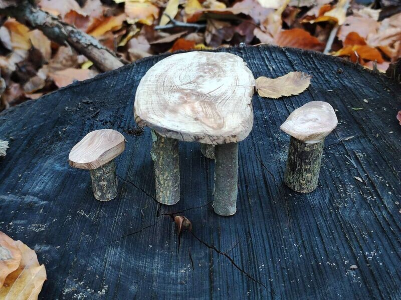 Miniatur Holztisch mit 2 Hockern Miniatur Tisch aus Treibholz mit zwei Hockern, dekoriert im Wald an moosbewachsenem Baum.