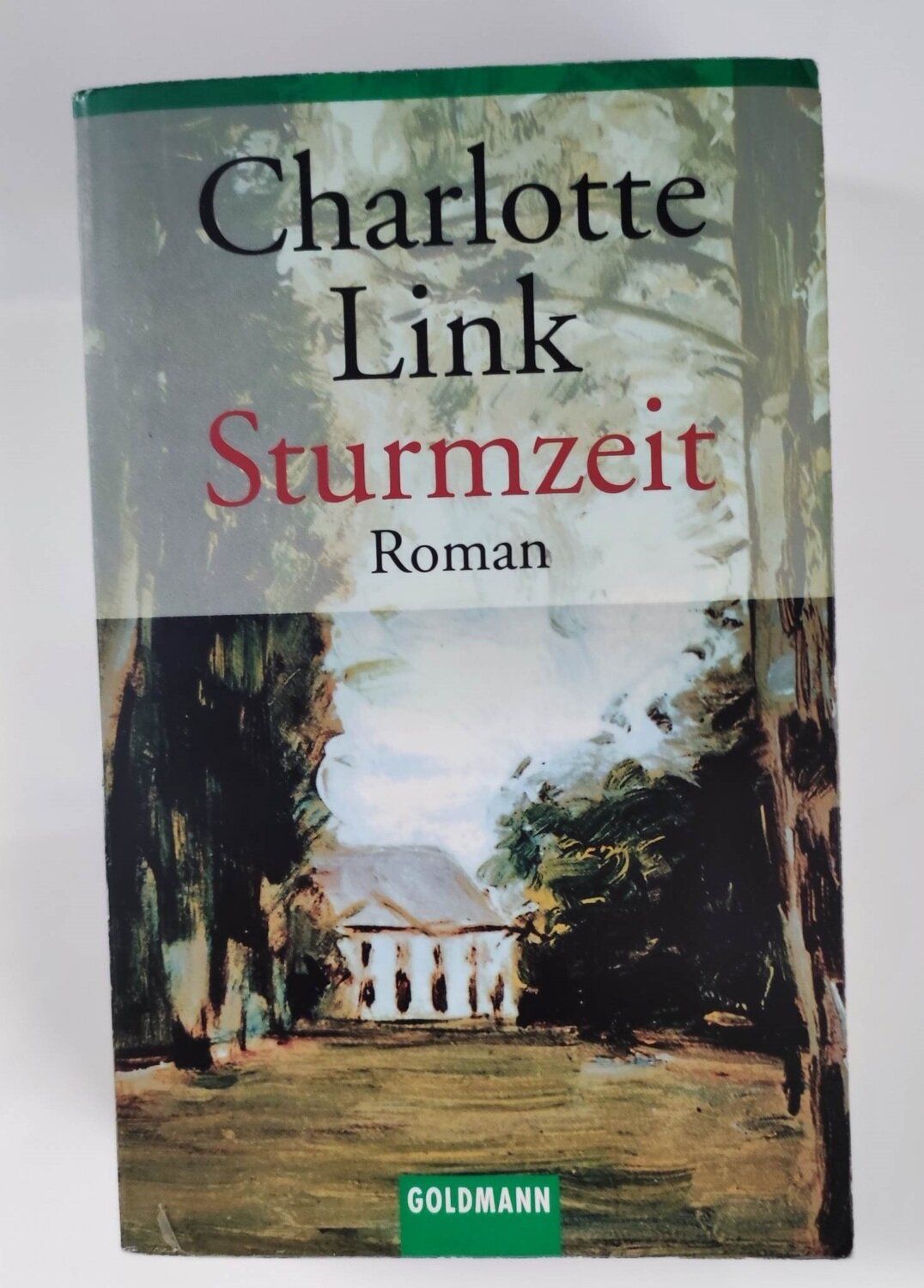 Charlotte Link - Sturmzeit