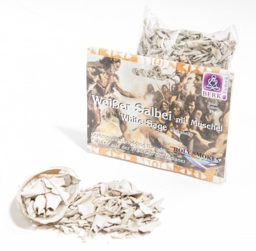 Weißer Salbei mit kleiner Muschel