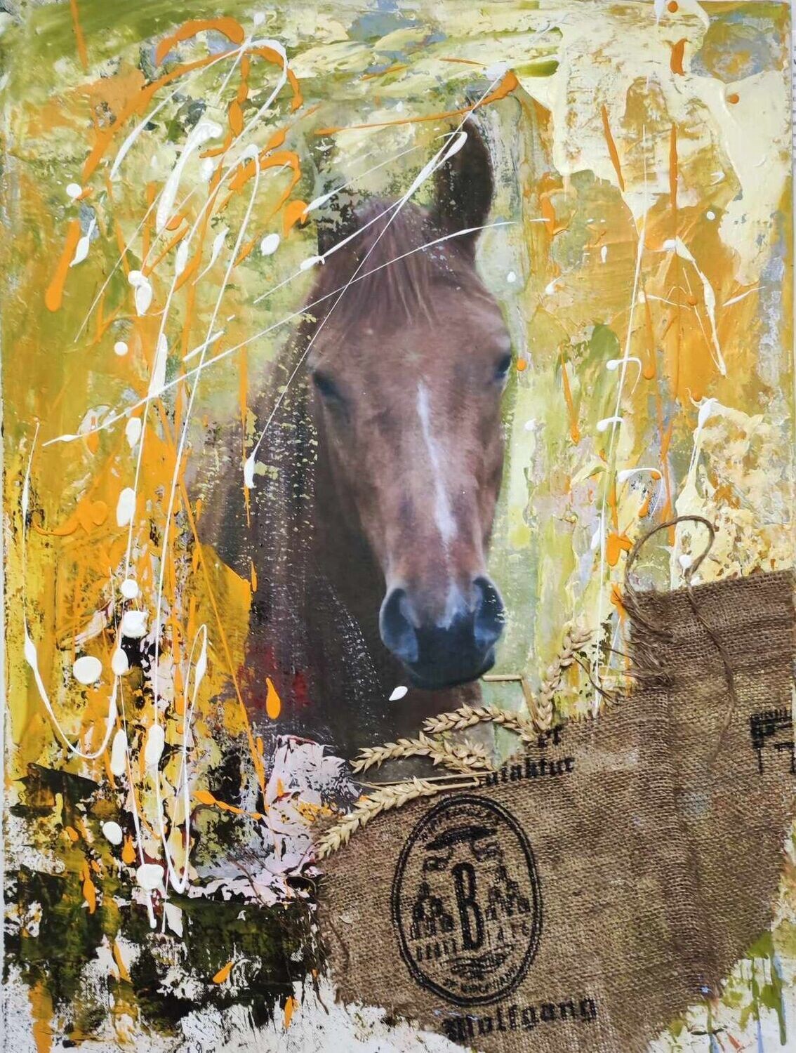 Pferd Wolfgang Collage Ursel Dörr Pferd Wolfgang Collage Ursel Dörr
