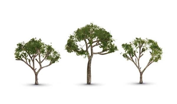 Gum Trees -- 2-1/2 to 3-1/2"  6.4 to 8.8cm Tall pkg(3)