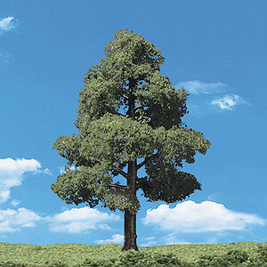 Woodland Scenics - Classic Trees(R) Ready Made - Sun Kissed -- 6 to 7&quot;  15.2 to 17.7cm Tall pkg(2)
