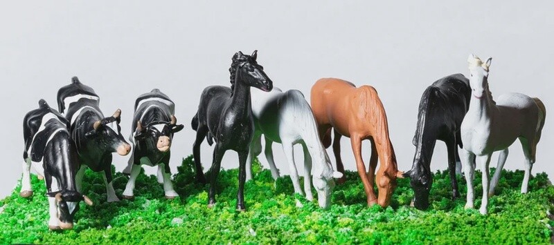 O COWS &amp; HORSES