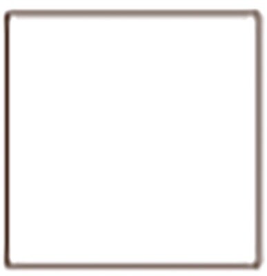 Tru-Color - 1oz 29.6mL - White