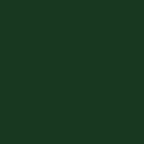 Tru-Color 1oz 29.6mL -- Seaboard Air Line Dark Green