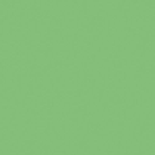 Tru-Color 1oz 29.6mL -- Seaboard Air Line Mint Green