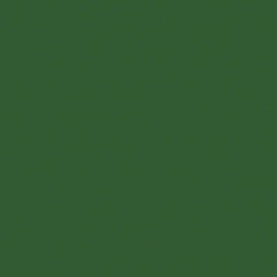 Tru-Color 2oz 59.1mL -- Burlington Northern Cascade Green