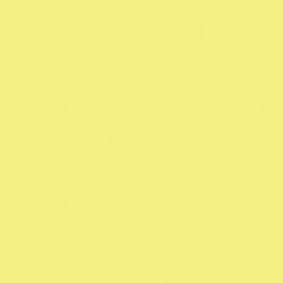Tru-Color 2oz 59.1mL -- Seaboard Coast Line Yellow