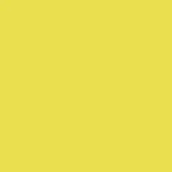 Tru-Color 304 - 1oz 29.6mL -- Illinois Terminal Yellow