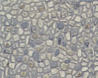 Plastruct-Patterned Sheets - Stone - Random Field Stone - .020 x 7 x 12&quot; pkg(2) -- .170&quot; Beige Stones