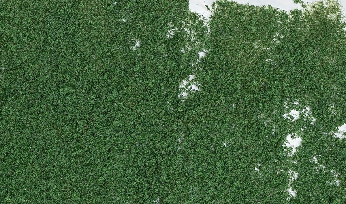 Woodland Scenics--F54-Foliage Dark Green