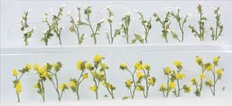 JTT 95544 Daises 7/8" Tall O Scale, 24/pk