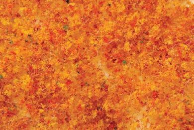 BACHMANN 32611 Foliage Early Fall - Medium