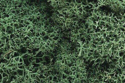 Woodland Scenics L162 Lichen Bag - Light Green