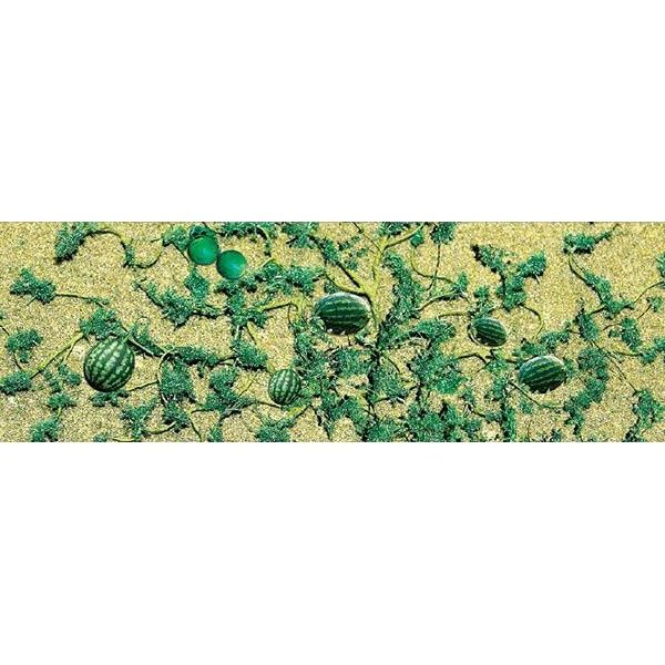 JTT Scenery 95575 HO Scale Watermelon Patch 1 3/4" Long 6/pk