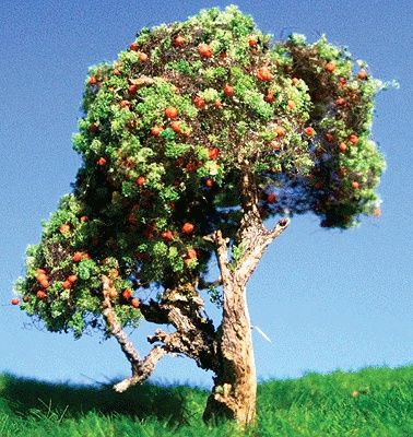 Grand Central Scenery T22 - Orange Tree -- 3 to 5" 7.6 to 12.7cm pkg(3)