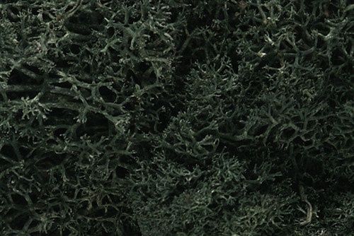 Woodland Scenics L163 Lichen Bag - medium Green
