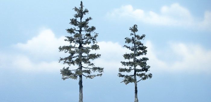 Woodland Scenics TR1624 - Premium Pine Tree - 5.25" to 4" (2)