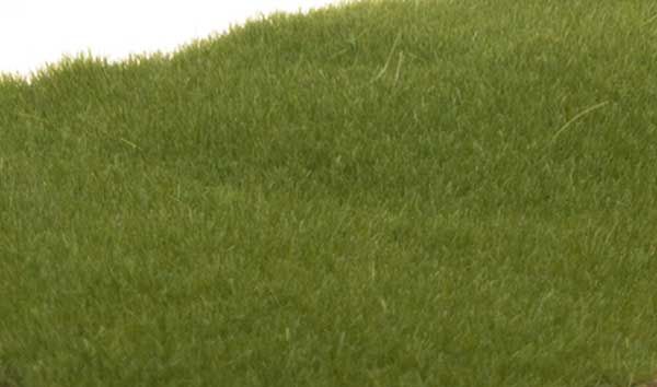 Woodland Scenics FS613 - Static Grass 2mm - Dark Green