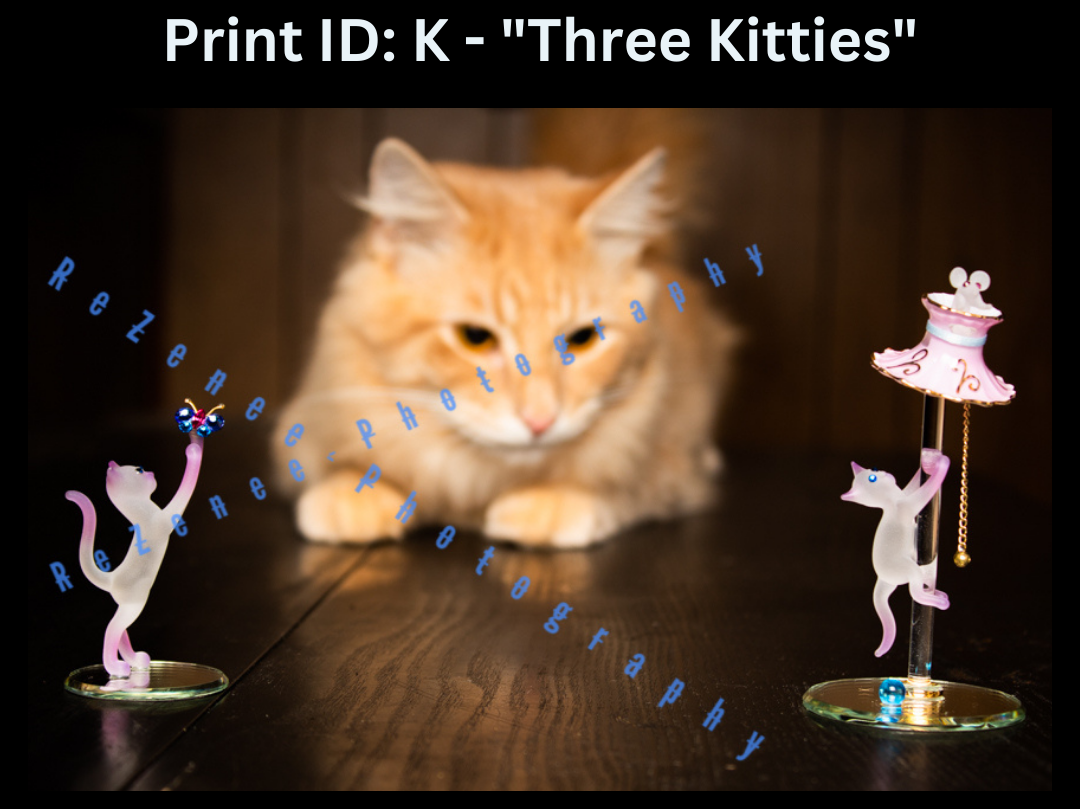 Digital Art Prints