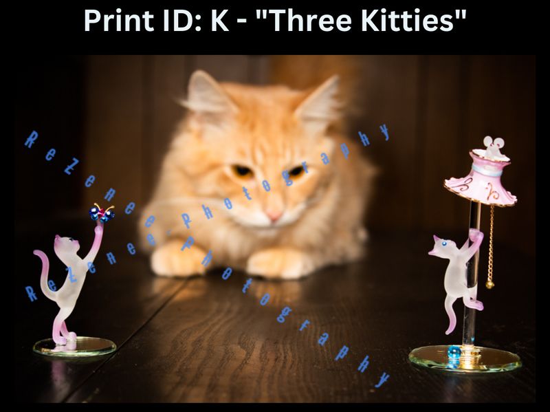 Digital Art Prints