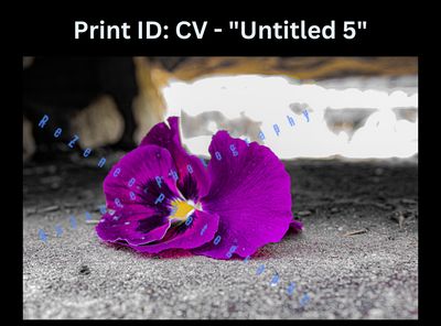 13x19 Physical Art