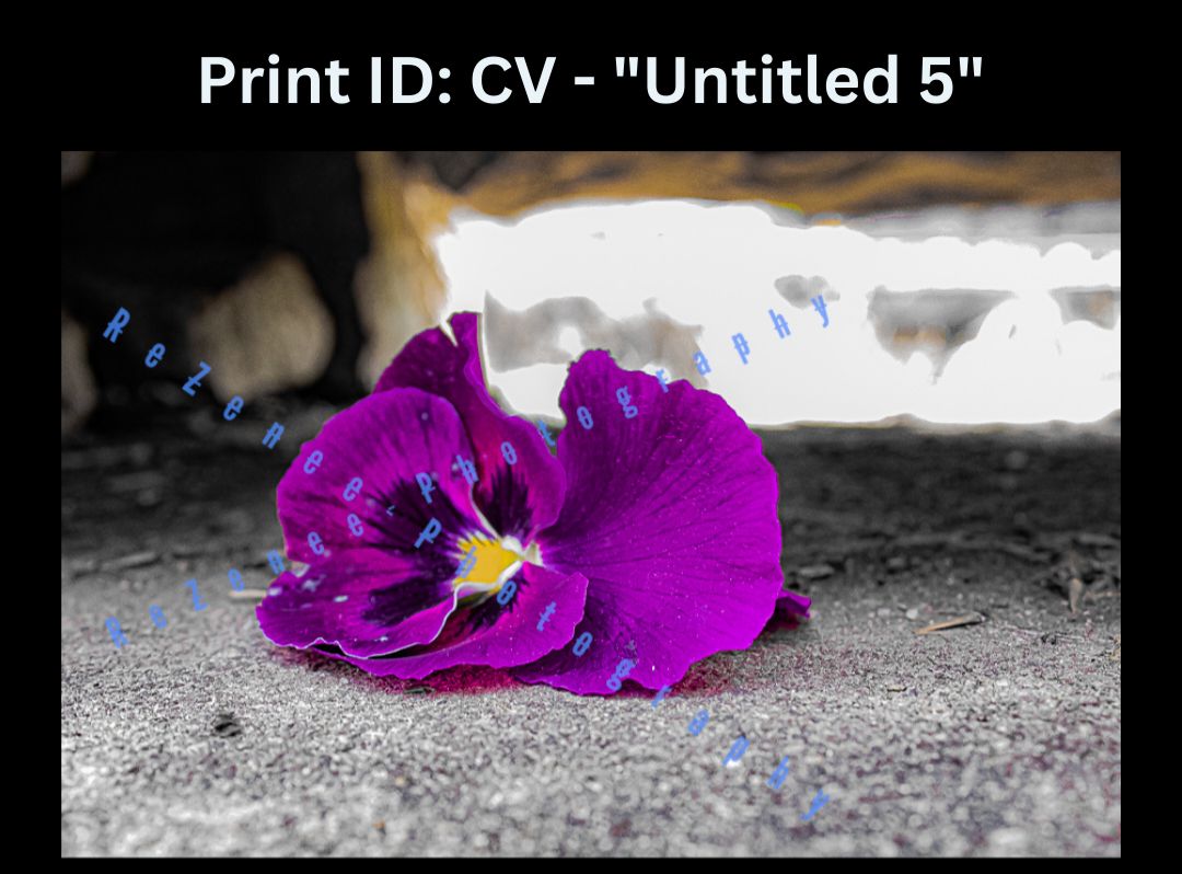 13x19 Physical Art