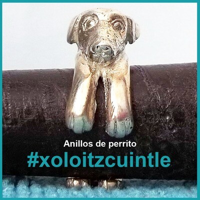 Anillo de perrito #xoloitzcuintle plata, multitalla