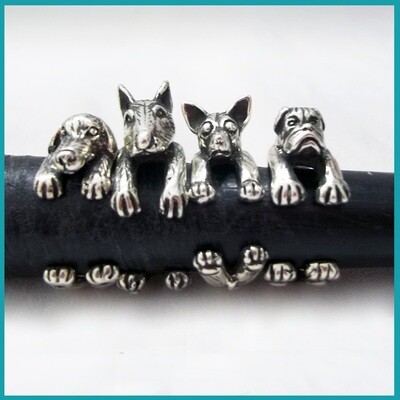 Animalitos 🐾