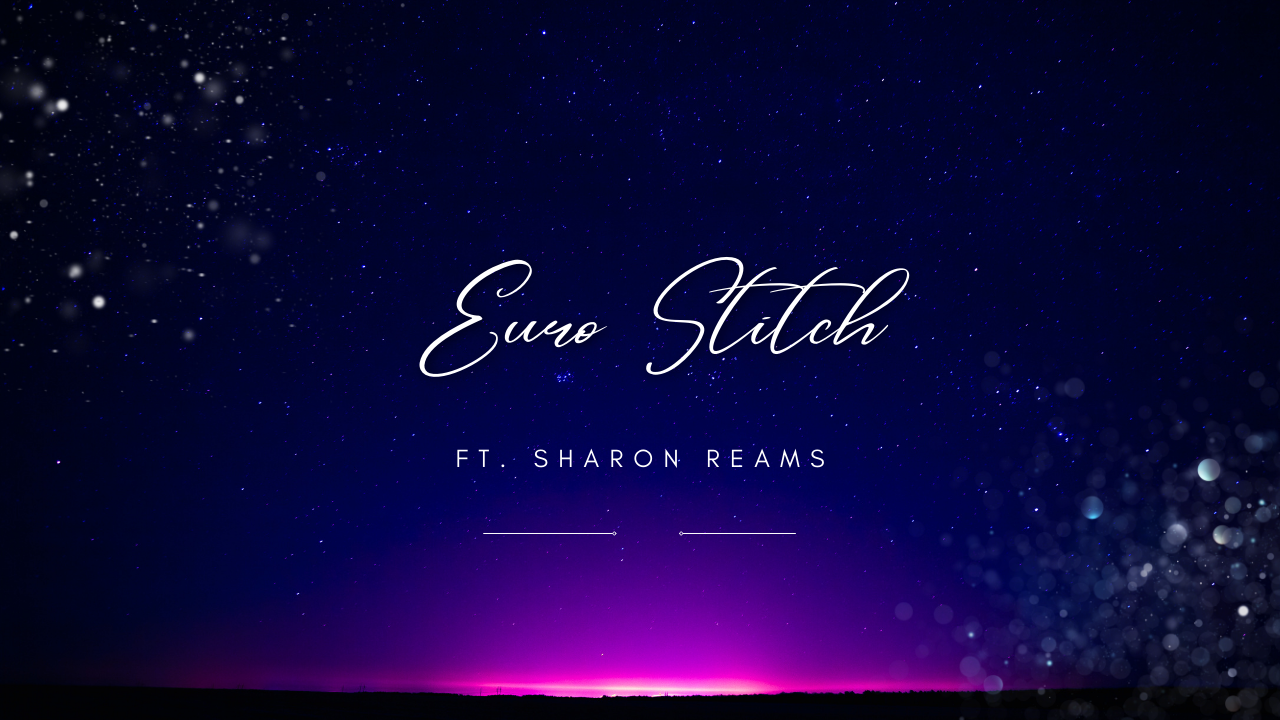 Euro Stitch DVD